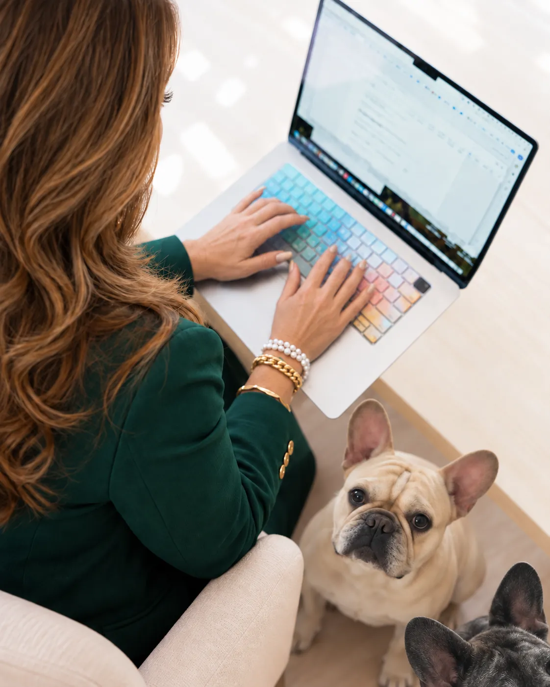 Angie Brannon working on a laptop while one of her French bulldogs looks on